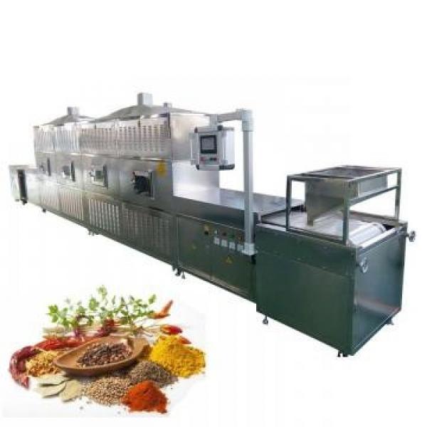 New Type Microwave Vegetable Drying Equipment #1 image