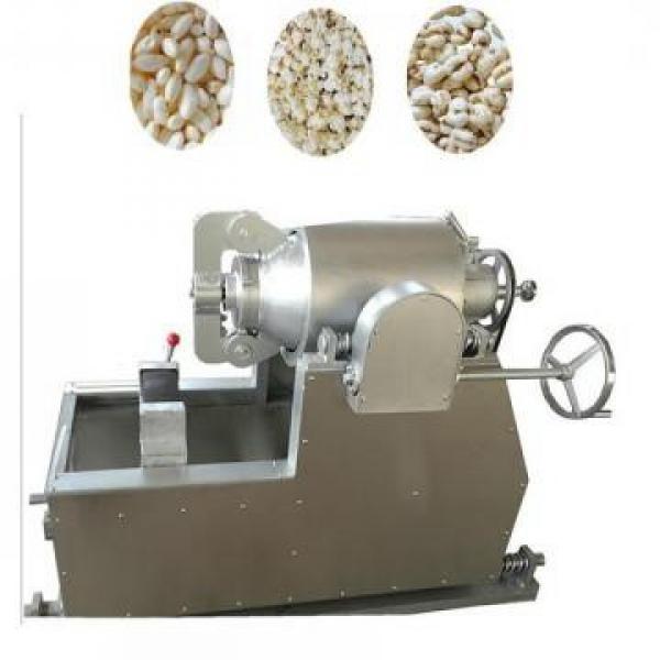 Puffed Rice Wheat Flour Corn Puff Food Snack Extruder Machine #1 image