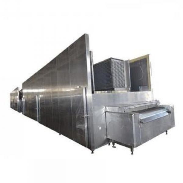 Ce Standard Potato Chips Snacks Production Line #1 image