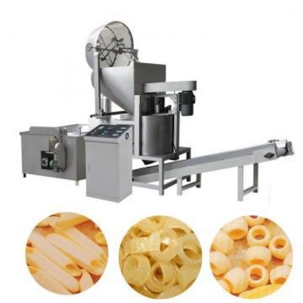 Chinese Snacks Food Machine Twin Screw Extruder #1 image