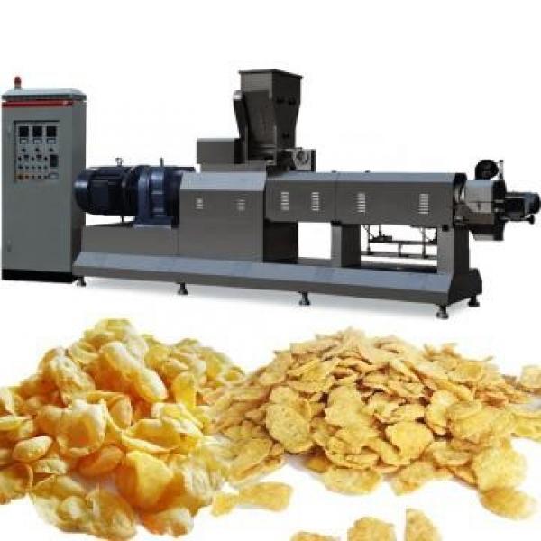 Corn Puff Snack Twin Screw Extruder Machine with High Output #1 image