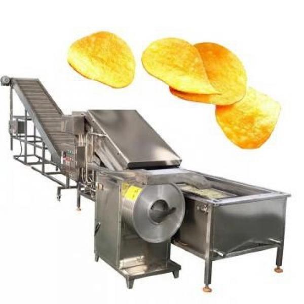 Fryer Equipment Potato Chip Banana Chips Frying Production Line Snack Food Processing French Fries Making Machine #2 image