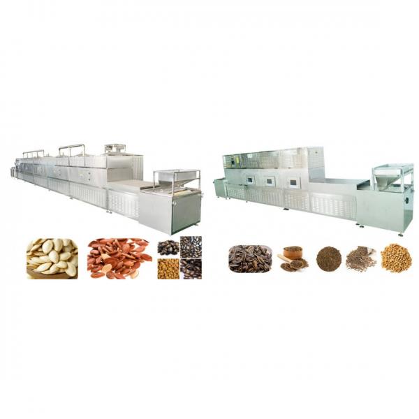 Popular High Quality Dried Fruit Nuts Microwave Drying Equipment #3 image